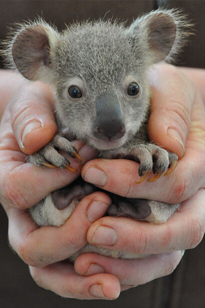 Be sweet with yourself