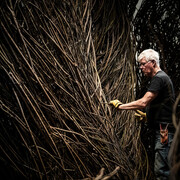Patrick Dougherty. Courtesy of BYU Museum of Art
