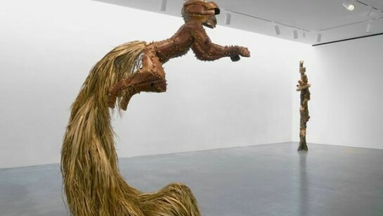 Tim Hawkinson, Installation view