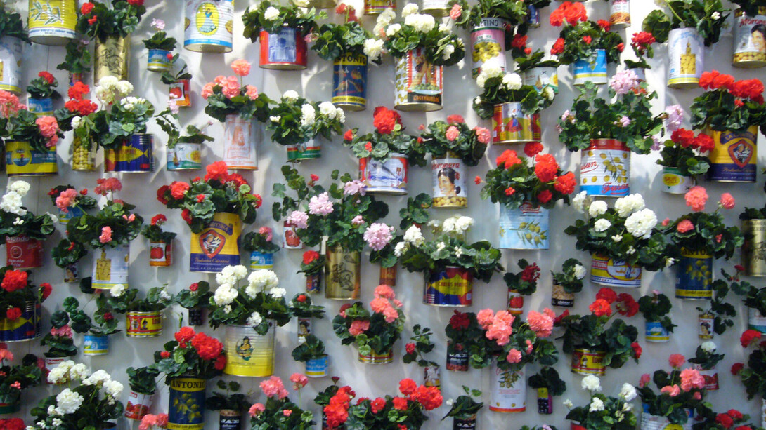 Pilar Albarracín, Muro de Geranios (detail), 2005. Courtesy of Galerie Vallois