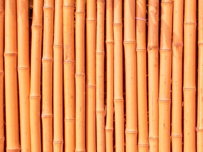 L'uso del bambù nelle costruzioni risale a migliaia di anni fa. È stato impiegato fin dall'antichità in Asia, in particolare in paesi come la Cina e l'India, per la costruzione di case, ponti e altri edifici grazie alla sua resistenza, flessibilità e abbondanza