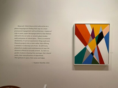 Various artists, A planar garden, exhibition view. Courtesy of Alexandre Gallery