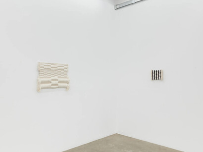 Molly Haynes, Liquescent, exhibition view. Courtesy of Ochi Projects