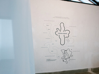 Sistema-cinema: êxtase & exercício. Courtesy of Galeria Jaqueline Martins