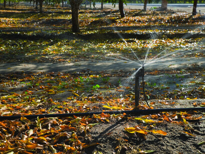 Microriego irrigación de huertos en California, EE.UU.
Hay muchas propuestas y movimientos que están empezando a gestar los cambios