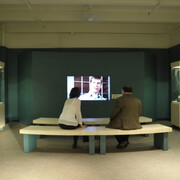 Evolution. Courtesy of Harvard Museum of Natural History