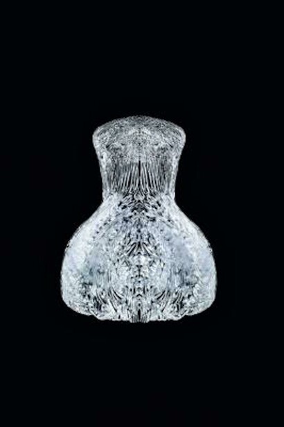 Iris van Herpen. Courtesy of Dallas Museum of Art