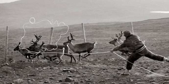 Frost. Courtesy of Canadian Museum of Nature