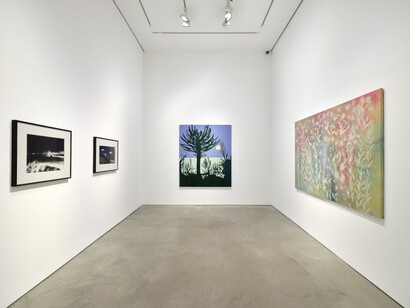 Florian Maier-Aichen, Cassi Namoda, Sam Falls, 303 Gallery: 40 Years, exhibition view. Courtesy of 303 Gallery. Photo: Justin Craun