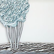 Carlos Poveda: parcours de recherches artistiques. Courtesy of 
Château des Tourelles