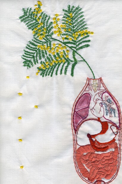 Cathy Alvarez, Anatomie fleurie, système digestif, mimosa, 2024. Avec l’aimable autorisation de La Châtaigneraie