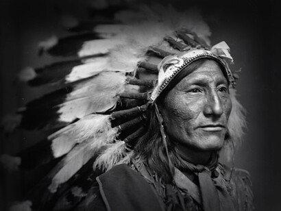 By the late 19th century, fewer than 238,000 indigenous people remained - a sharp decline from the estimated 5-15 million living North America before the arrival of Columbus
