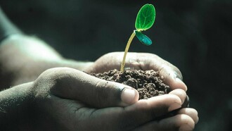 Ogni foglia che cade nutre il germoglio che rifiorirà a primavera, la vita e la morte sono compresenti nel passaggio delle stagioni. L’esistenza è circolare e la natura ce lo insegna