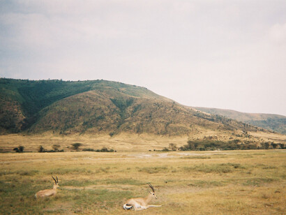 Tanzanie. Ce que nous vivons, quand on est loin, est gardé pour toujours avec une force différente