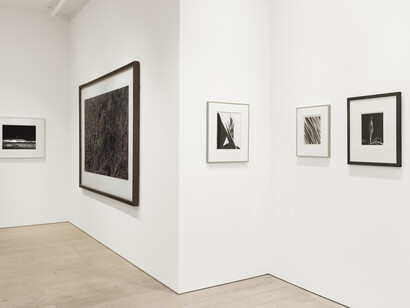 Installation View, Place, 2024. Photo credits: Shaun Roberts. Courtesy of Berggruen Gallery