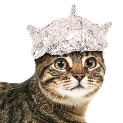 Un gato rayado con un gorro de papel de aluminio