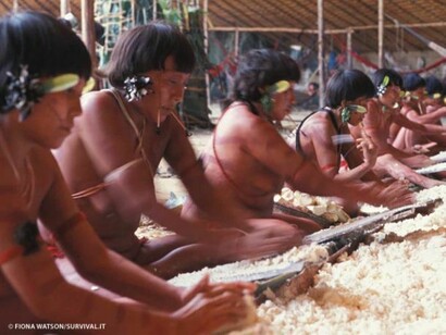 Los Yanomami, trabajando duro