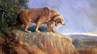 Painting of Smilodon populator from the American Museum of Art. 1903. Charles Robert Knight