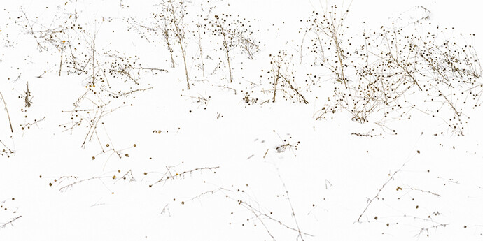 Fünfklang. Courtesy of Choi & Lager 