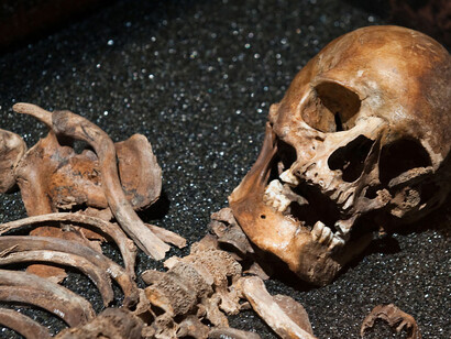 Find in Focus. Courtesy of The Vasa Museum