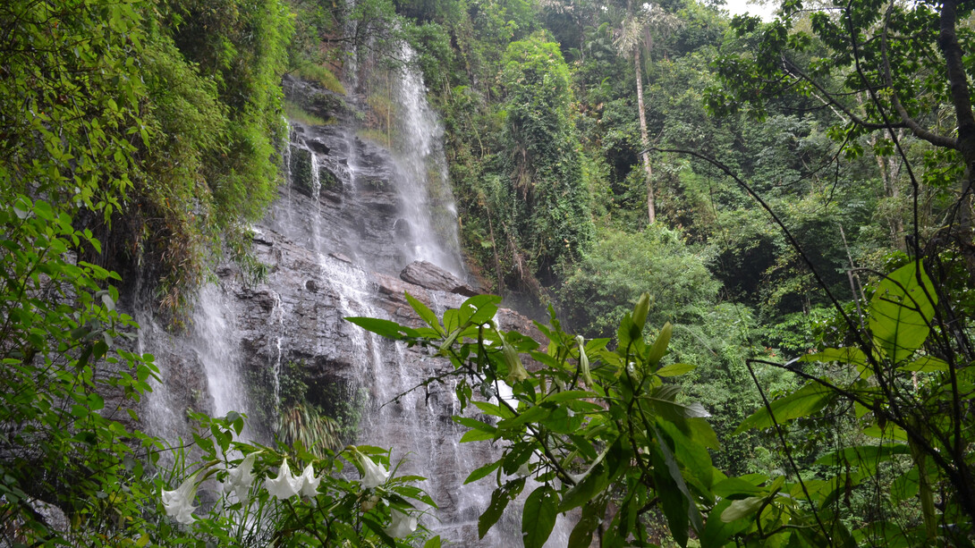 Chikamagalur, The Falls