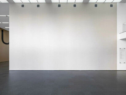 Do Ho Suh, Atrium project, exhibition view. Courtesy of MCA Chicago 