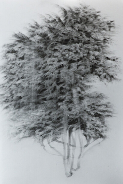 Giulia Dall'Olio. Courtesy of Massey Klein Gallery