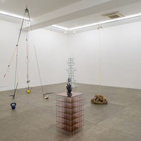 Rodrigo Matheus, Exhibition view at Galeria Fortes Vilaça, 2015. Photo: Eduardo Ortega. Courtesy Galeria Fortes Vilaça