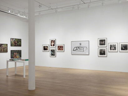 Exposures. Courtesy of Alexander and Bonin Gallery