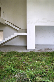 Grass summer, ph Andi Schmied  