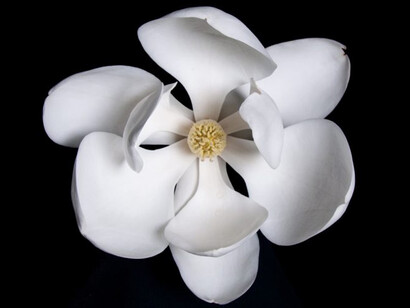 Courtney Egan. Courtesy of Ogden Museum of Southern Art