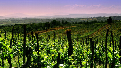Vigneti nel Franciacorta