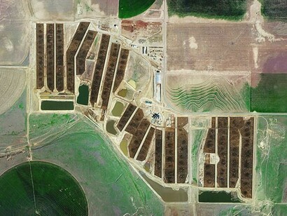 Mishka Henner, Centerfire Feedyard, Ulysses, Kansas, 2013, Feedlots, Archival pigment print on aluminium in tray frame, 149 x 188.5 cm, 58.7 x 74.2 in