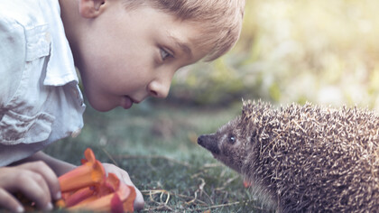 Learn from the nature