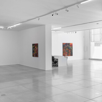 Jorge Guinle Filho, Infinito, exhibition view. Courtesy of Galeria Simões de Assis
