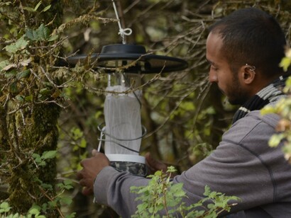 Um dos maiores temores com a PPM é o potencial de seleção de parasitas resistentes. A exposição prolongada ao SP pode acelerar a disseminação de cepas com múltiplas mutações dhfr/dhps. Um modelo matemático aplicado à Zambézia estimou que a PPM poderia aumentar a prevalência de resistência em 15–20% em cinco anos, se não houver monitoramento rigoroso (Plucinski, et al., 2021)

