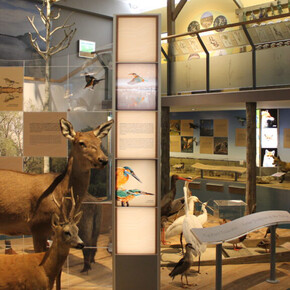 Our river and its land, exhibition view. Courtesy of Móra Ferenc Museum