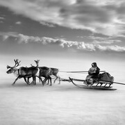 Sebastião Salgado, Nenets, Yamal Peninsula, Siberia, Russia, 2011, gelatin silver print, 20 x 24 inches/50.8 x 61 cm © Sebastião Salgado/Amazonas Images