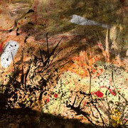 Art Competition for Schools 2019. Courtesy of National Galleries of Scotland