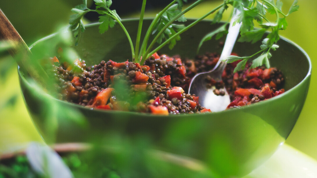 L'alimentazione bioenergetica