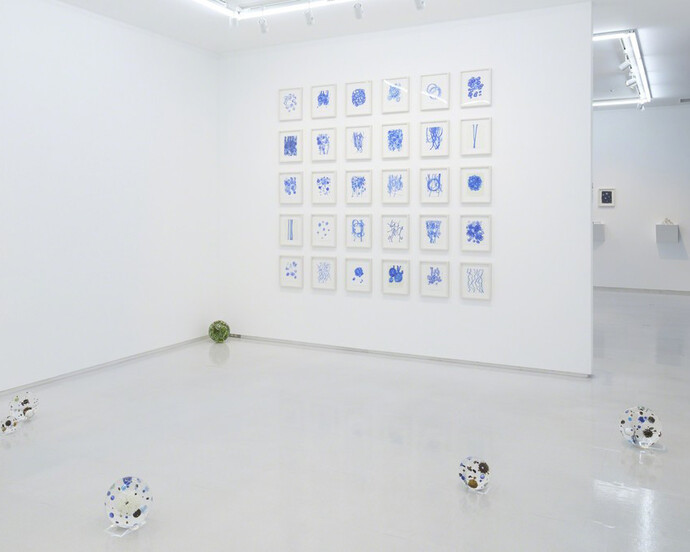 Satoshi Hirose, Exhibition view. Courtesy of Tomio Koyama Gallery