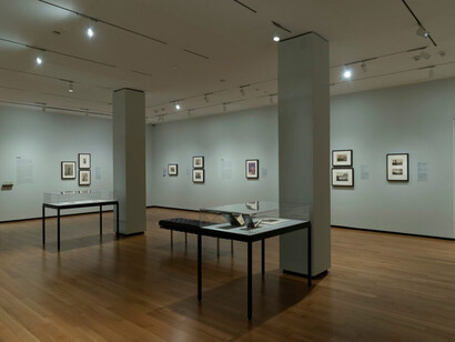 Deconstructing nature, exhibition view. Courtesy of the Baltimore Museum of Art