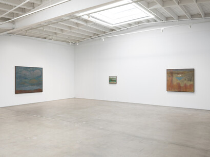 Shota Nakamura, Apple, exhibition view. Courtesy of Karma Gallery