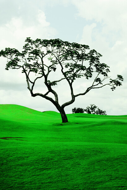 Caio Reisewitz, Goiania Golf Club II, 2011, C-print sous Diasec, 180 x 155 cm, Edition : 5 + 2EA, Courtesy Bendana I Pinel Art Contemporain & artiste