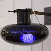 Rainbows from Atoms. Courtesy of Halsey McKay Gallery