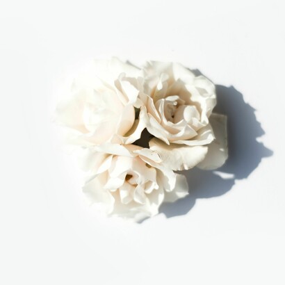 Rosas blancas para un poeta