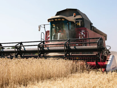 War in Ukraine: 2022 is likely to be the worst year from a food crisis and global hunger perspective