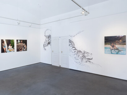 Anna Fabricius, Tigris, exhibition view. Courtesy of Tobe Gallery