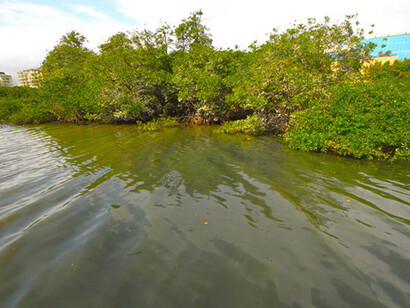 Uma cidade econômico-ambiental inviável © Mario Moscatelli