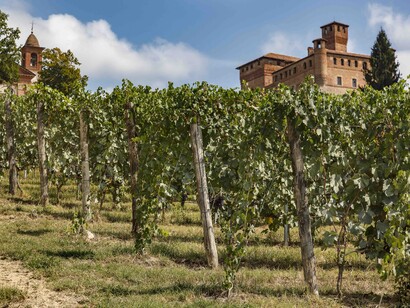 Grinzane Cavour, Langhe, provincia di Cuneo, Piemonte, Italia
